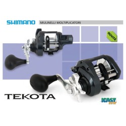 Mulinello Traina Shimano Tekota A