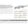 ARTIFICIALE SHIMANO BANTAM WORLD MINNOW 115SP FLASH BOOST 115MM 17G SUSPENDING